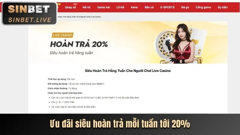 Biểu đồ các cấp độ VIP tại 28win